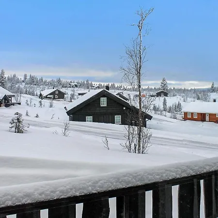 Holiday Nesbyen